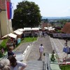 kvackarice_003.jpg