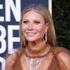 Gwyneth Paltrow 1.jpg