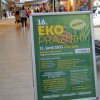 eko_009.jpg