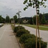 img_2763.jpg