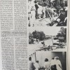 vojna-1991, vestnik, pomurje