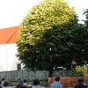 skocjan_012.jpg