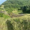 travniški-požar, ključevica
