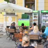 murska-sobota, navijači-mure, ogled-tekne