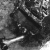 Zoglenela noga dr Bentleya paranormalguide com.JPG