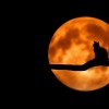 Luna Pixabay.jpg