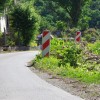 d31_ovinekgoriskavas.jpg