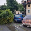 PGD Gornja Radgona.jpg