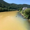 Obarvana Sava