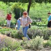 gornja-radgona, 59.-mednarodni-kmetijsko---živilski-sejem, torek