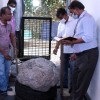 gemstone-family-photo-MR-GAMAGE.jpg