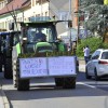 gornja-radgona, protesti