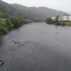 vrv, arso