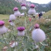 _triglav__01_.jpg