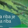 _zzzzribe.jpg