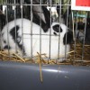 img_7202_000.jpg