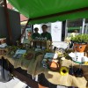 murska-sobota, 11.-festival-prekmurske-šunke-in-prekmurske-gibanice