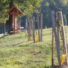 img_7993.jpg