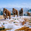Ice_age_fauna_of_northern_Spain_-_Mauricio_Antón Wikipedia.jpg