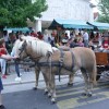 img_7385_000.jpg