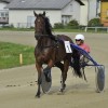 ljutomer, kasaške-dirke
