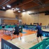 namizni-tenis, državno-prvenstvo, veterani, rekreativci, ljutomer