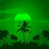 sunset-1651426_1920 2.jpg