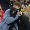 tottenham, mura