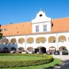 dvorec-rakičan, ris