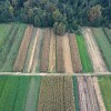 Dron - Kmetijstvo-12.jpg