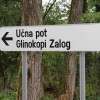 biotopi_zalog11.jpg