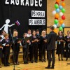 _zagradec__05_.jpg