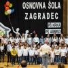_zagradec__18_.jpg