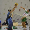 murska-sobota, odbojka, panvita-pomgrad, calcit-volley