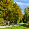 vojska, tekmovanje