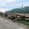 daljnovod, cerkvenjak, pince, golosek, mura, reka-mura, natura-2000