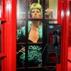 david-bowie