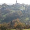 bucka_003.jpg