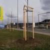 Litija drevored.jpg