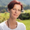vesna-volk