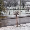sneg, padavine. Prvi sneg tudi v Pomurju.