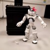 Robotka Eva