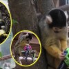 Sajmiriji ZOO Ljubljana Facebook 4.jpg