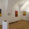 razstava, ciganjica, mikk-murska-sobota, marcel-baranja