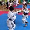 karate, tromejnik-kuzma, pokal-slovenije