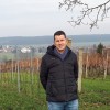 darko horvatkobilje1.jpg