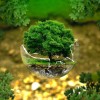 environmental-protection-2.jpg