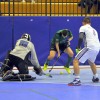 puconci, hokej-na-travi-dvorana