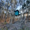 divjad, jelenjad, divji-prašiči, lov, lovska-preža