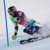 andreja slokar.jpg